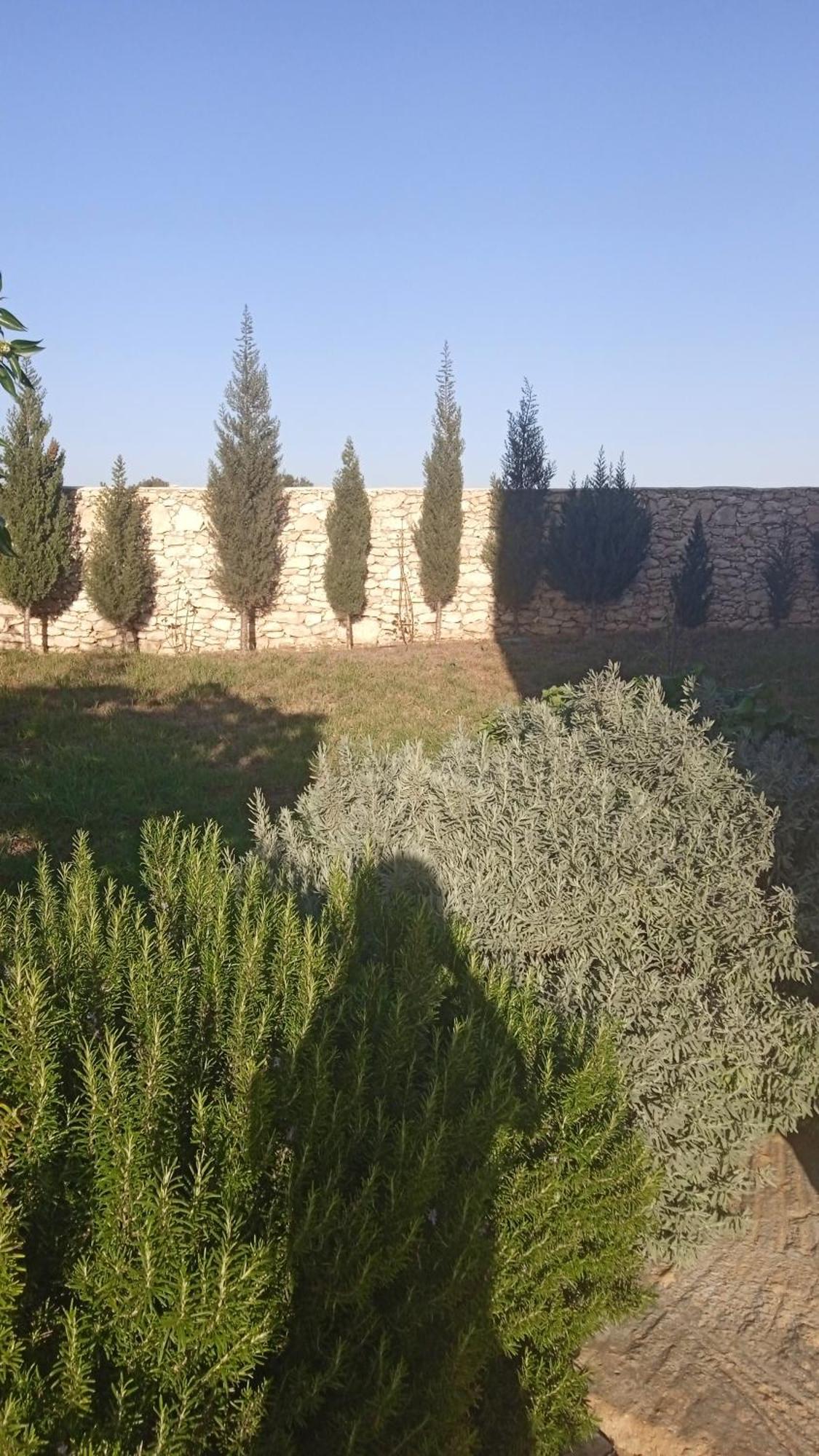 Villa Rabia シディ・カウキ エクステリア 写真